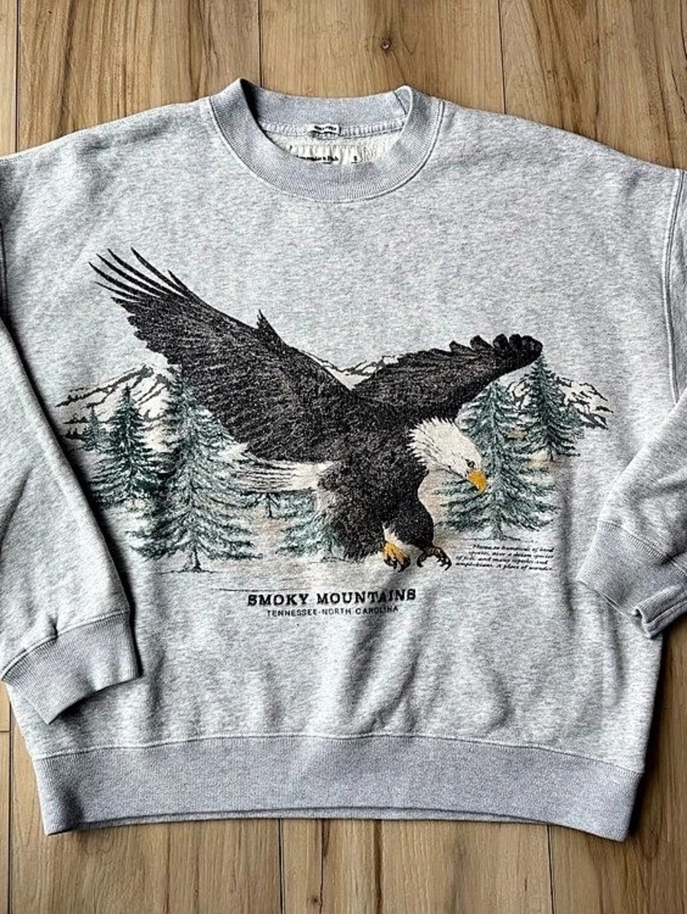 Abercrombie & Fitch Smoky Mountains Graphic Crew Sweatshirt